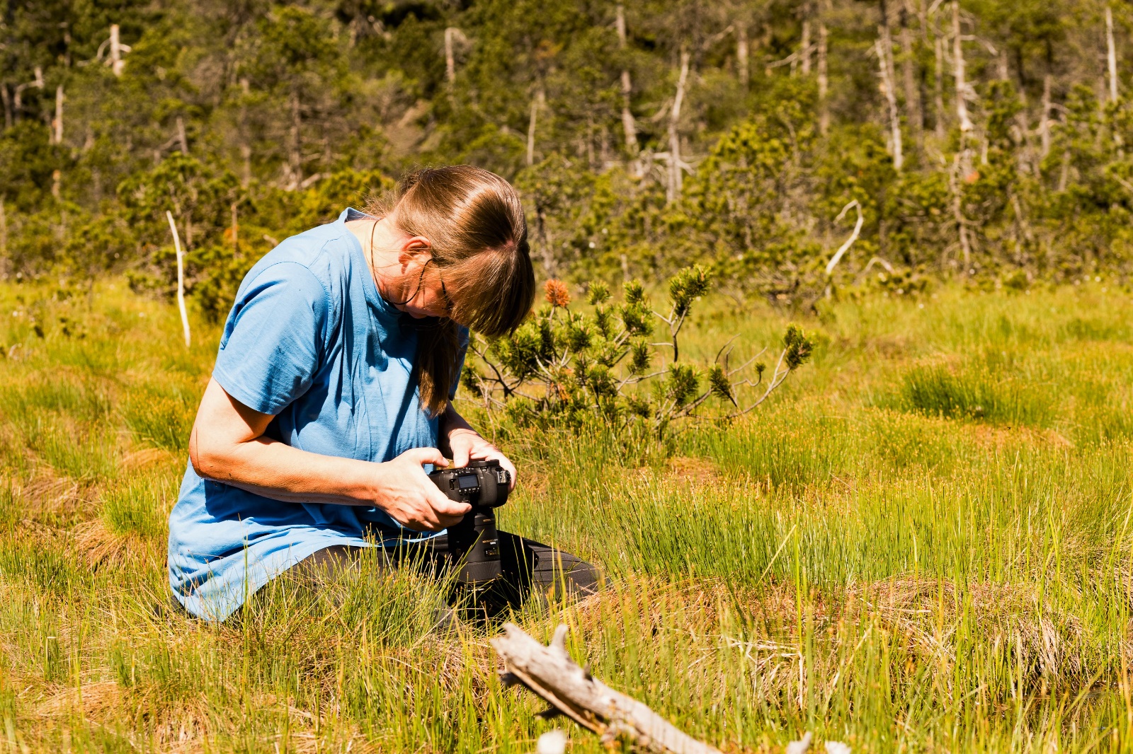 Fotografen in Action Im Hochmoor 01